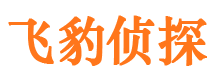 隆子外遇调查取证